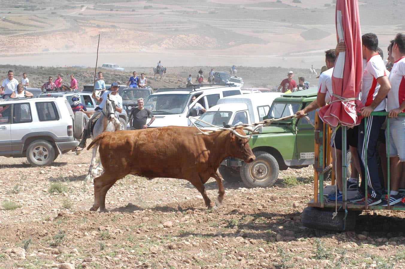 Las imágenes del tradicional festejo durante las fiestas de Valverde