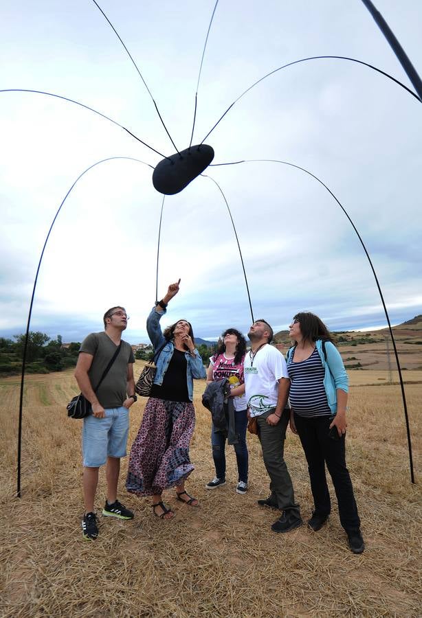 Las imágenes del certamen de 'land art' en Santa Lucía