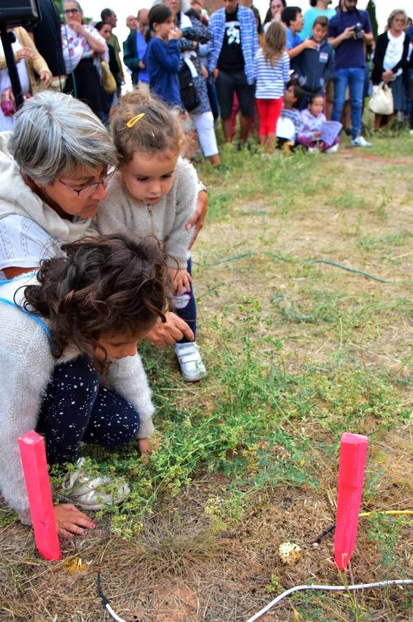 Las imágenes del certamen de 'land art' en Santa Lucía