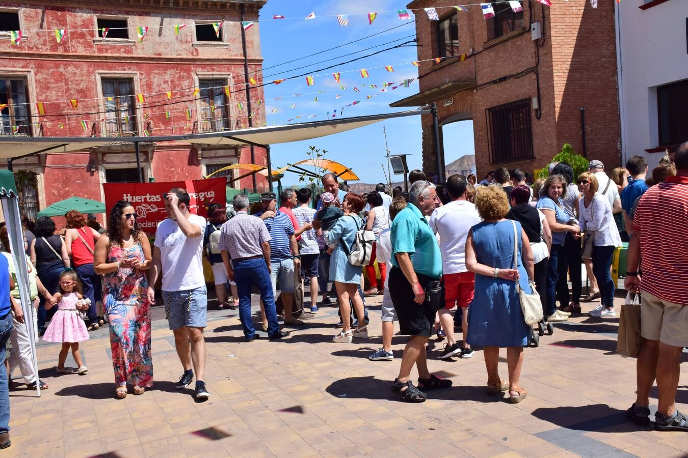 Nalda celebra el Día de la Ciruela Claudia