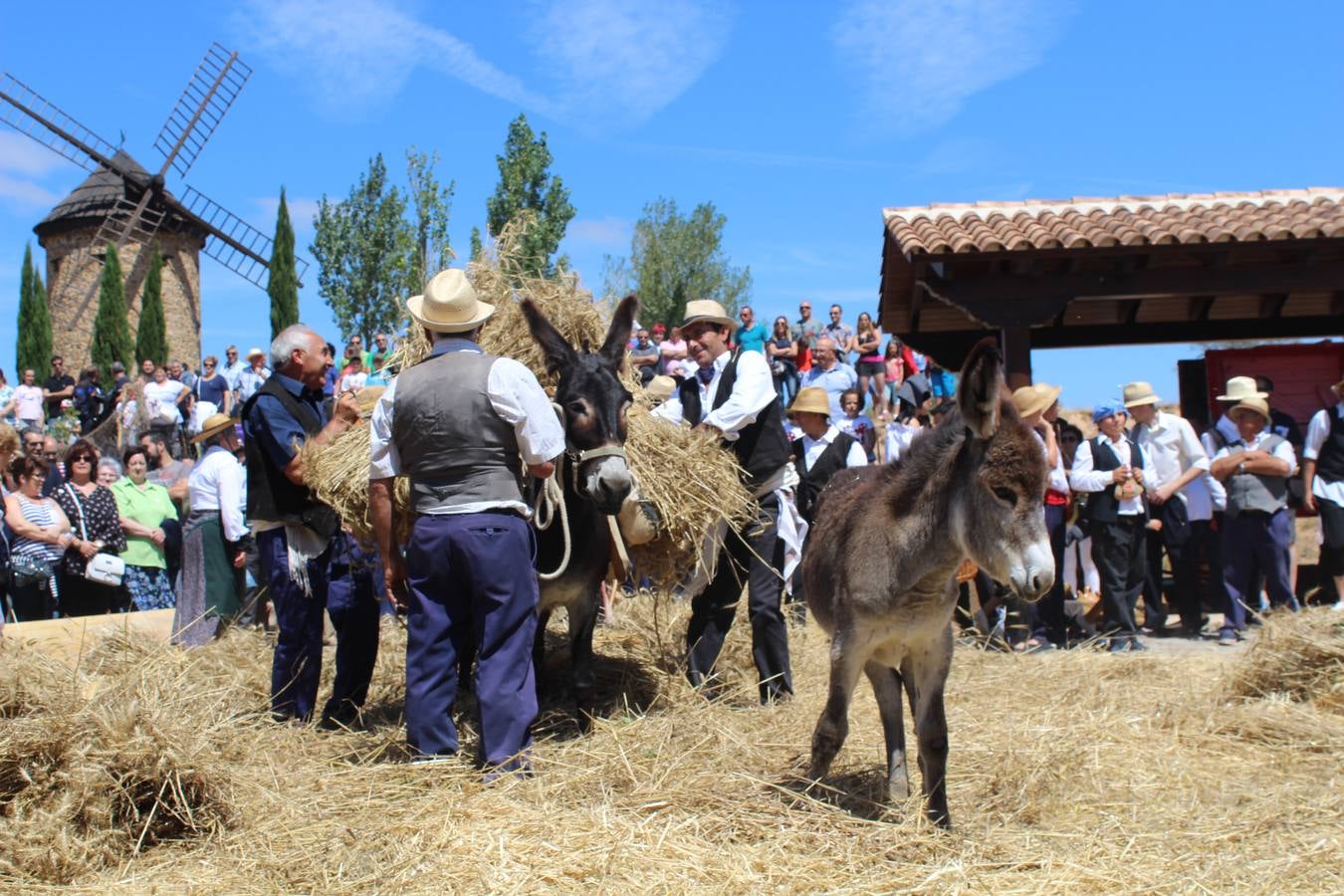 Ocón celebra la fiesta de la molienda