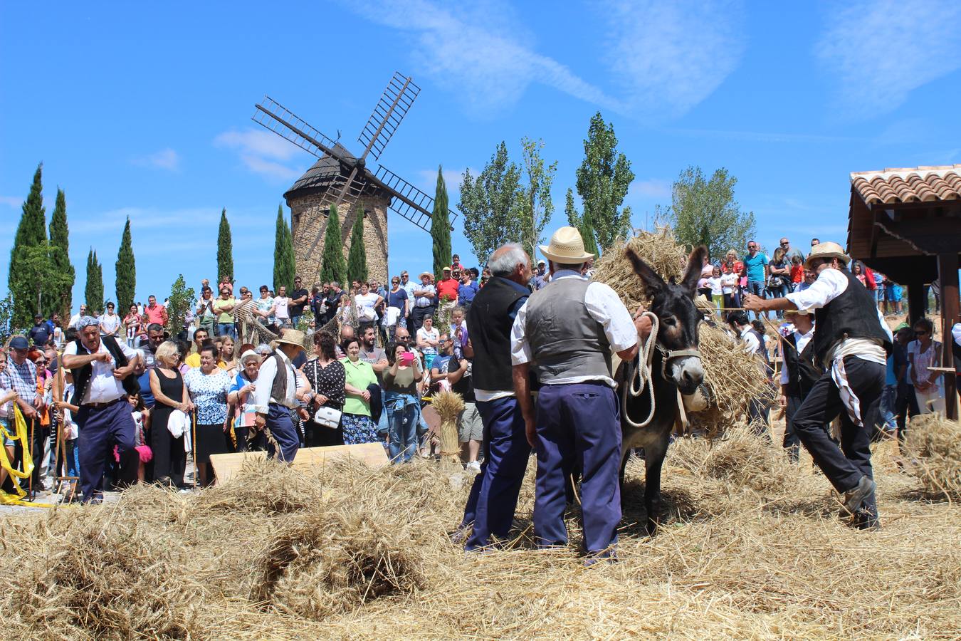 Ocón celebra la fiesta de la molienda