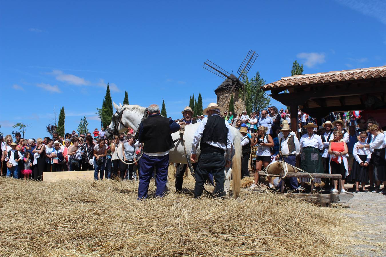 Ocón celebra la fiesta de la molienda