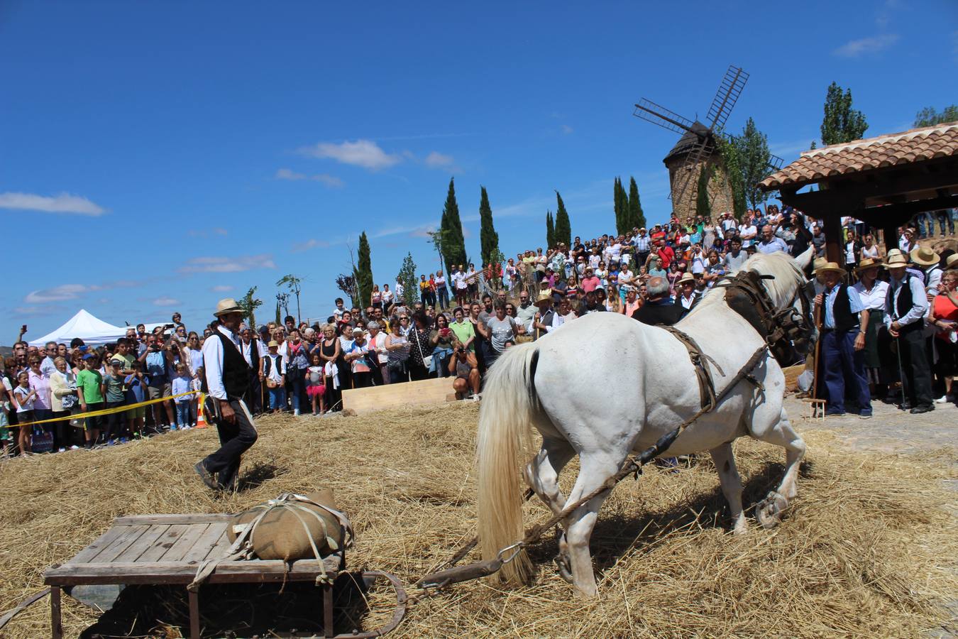 Ocón celebra la fiesta de la molienda