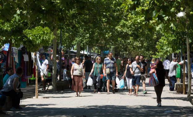 Animación en el mercadillo de Las Norias. ::