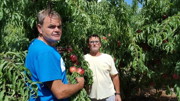 José Ignacio y Jesús en una finca de nectarinas de Rincón de Soto. :: m.f.