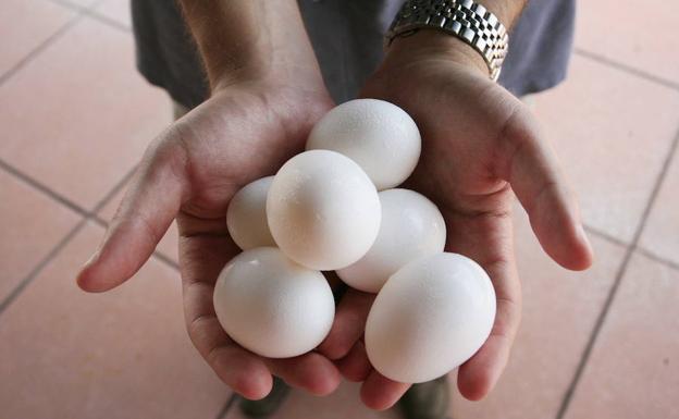 Sanidad asegura que no se han distribuido huevos contaminados en España