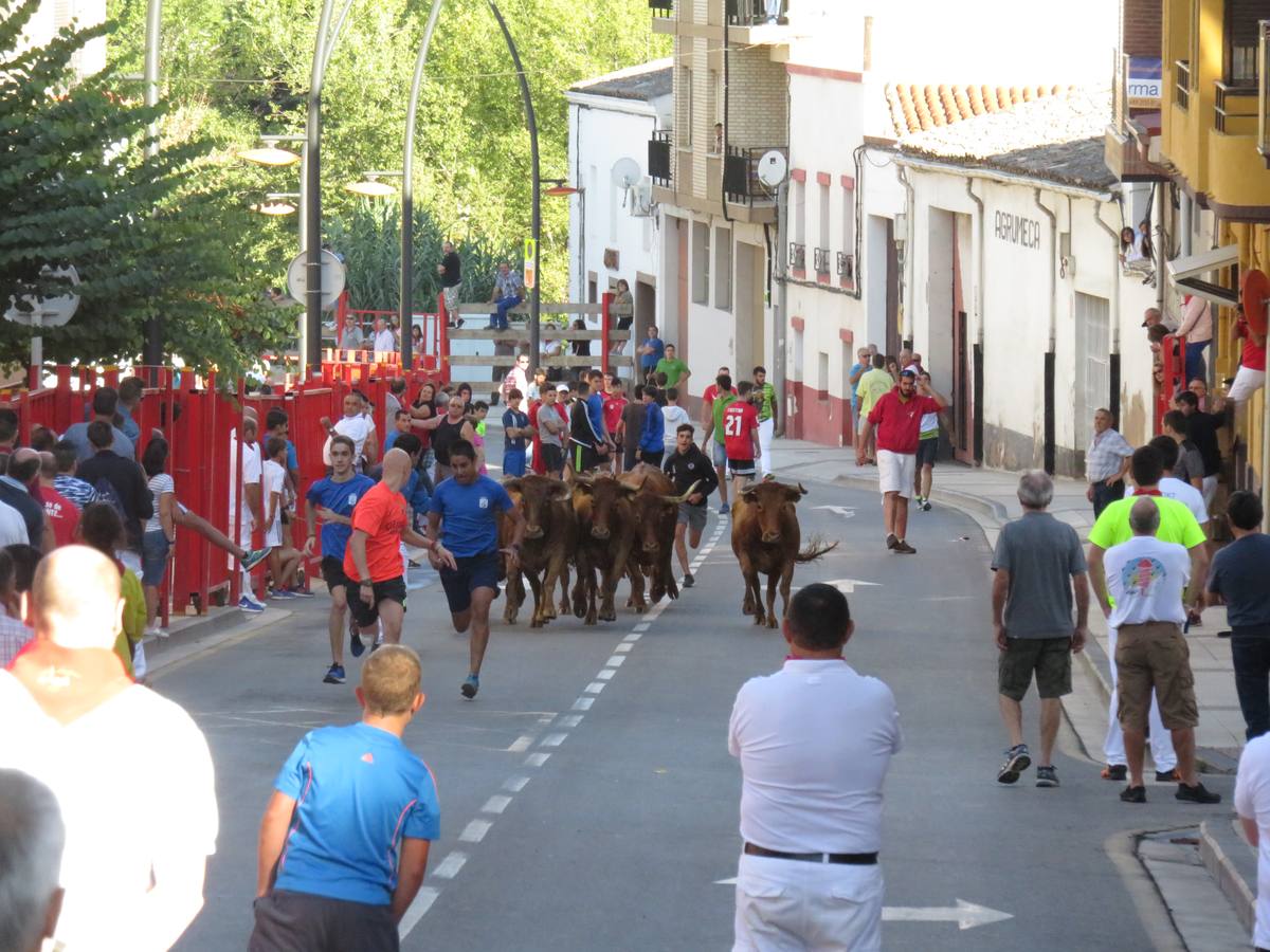 Cuarto día de las fiestas de Alfaro, dedicado a los mayores.