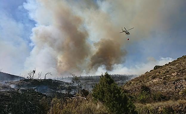 Imagen principal - Un incendio forestal en Soria alcanza los límites con La Rioja