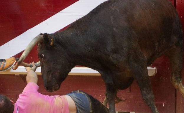 Un vecino de Huércanos, corneado en Badarán