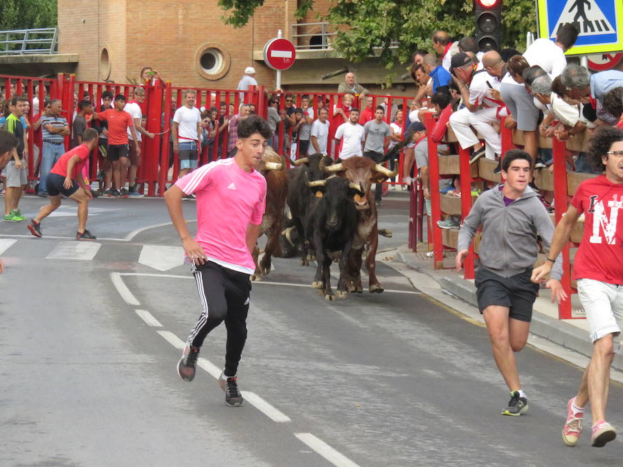 Los alfareños vivieron la tercera jornada de sus fiestas en honor a sus patronos, San Roque y San Ezequiel.