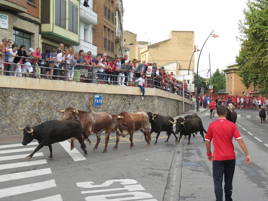 Los alfareños vivieron la tercera jornada de sus fiestas en honor a sus patronos, San Roque y San Ezequiel.