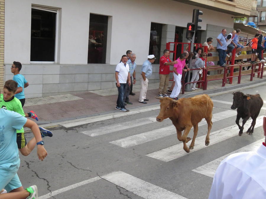 Los alfareños vivieron la tercera jornada de sus fiestas en honor a sus patronos, San Roque y San Ezequiel.