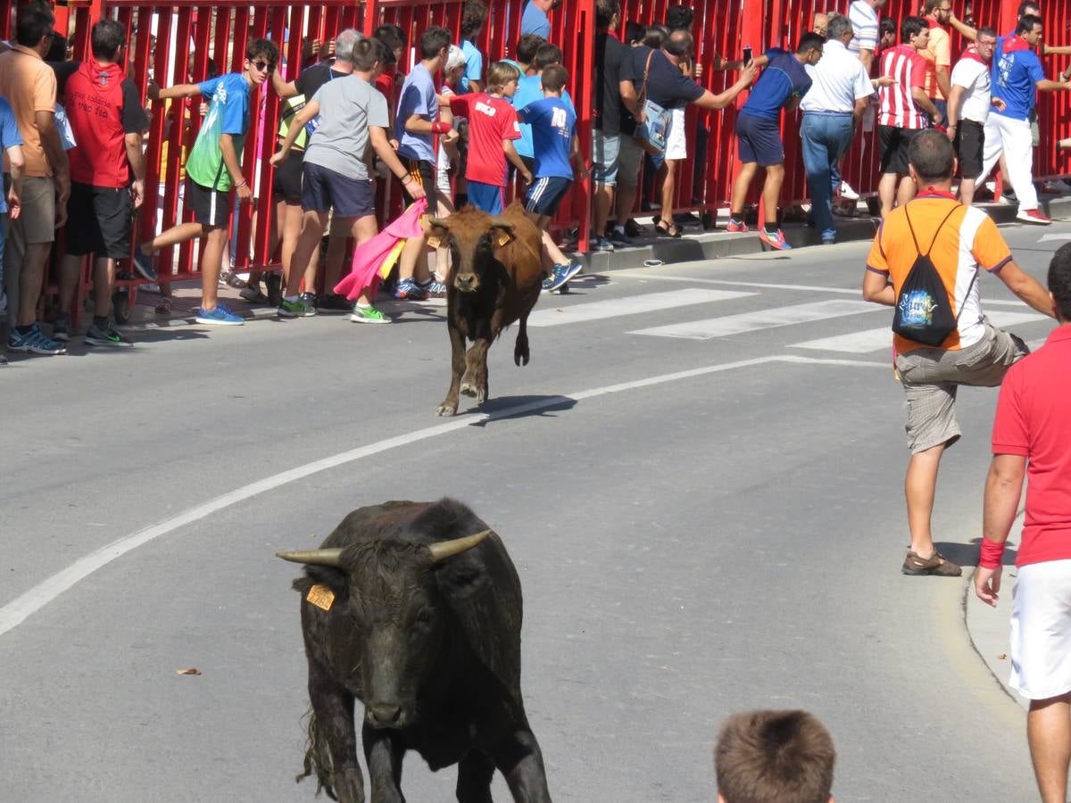 Vaquillas, comidas en cuadrilla, degustaciones, gigantes y cabezudos... un sinfín de actos en las fiestas alfareñas.