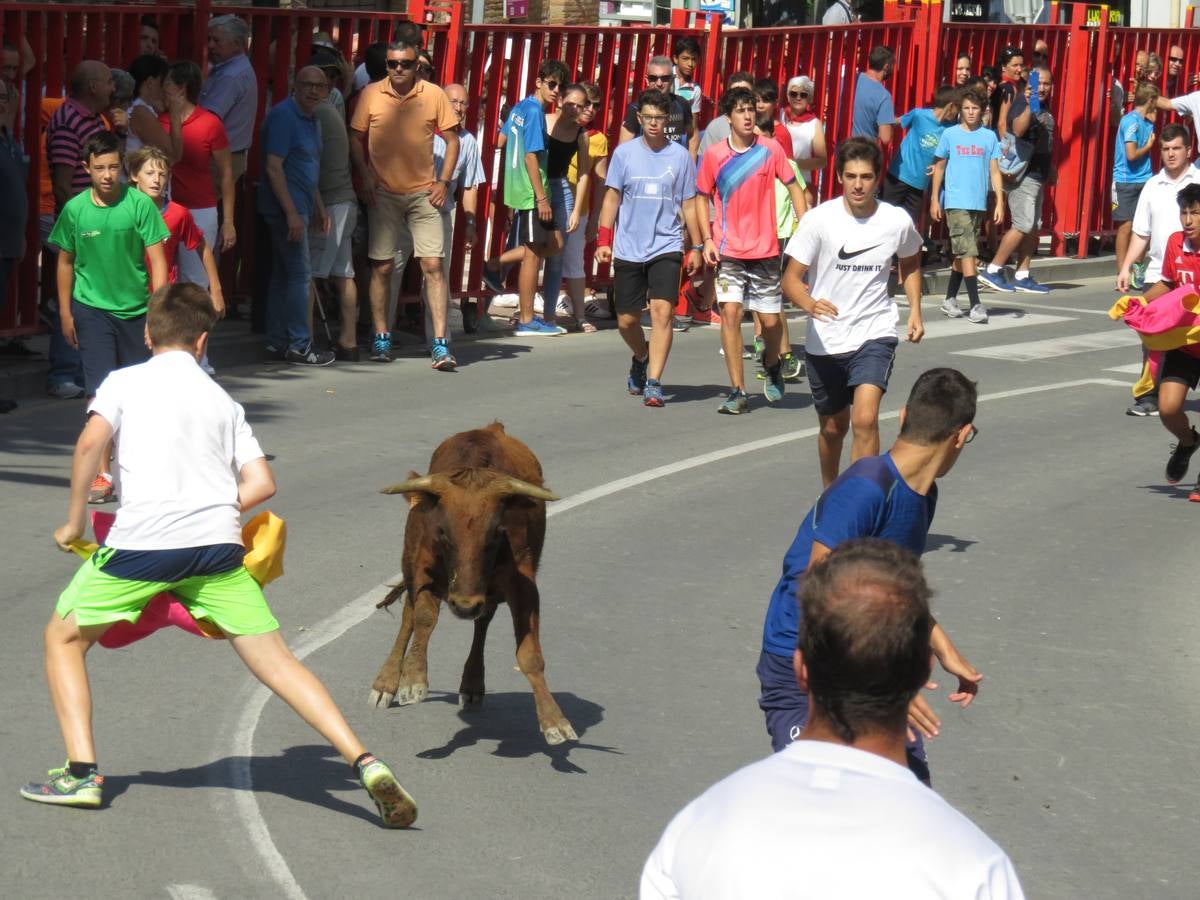 Vaquillas, comidas en cuadrilla, degustaciones, gigantes y cabezudos... un sinfín de actos en las fiestas alfareñas.