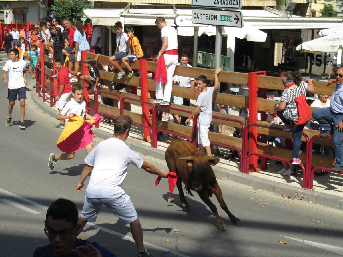 Vaquillas, comidas en cuadrilla, degustaciones, gigantes y cabezudos... un sinfín de actos en las fiestas alfareñas.