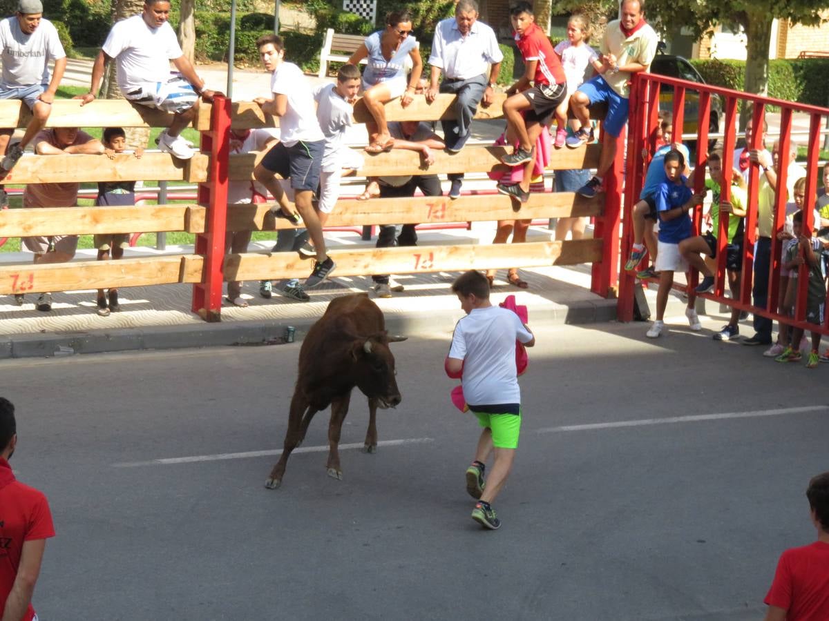 Vaquillas, comidas en cuadrilla, degustaciones, gigantes y cabezudos... un sinfín de actos en las fiestas alfareñas.