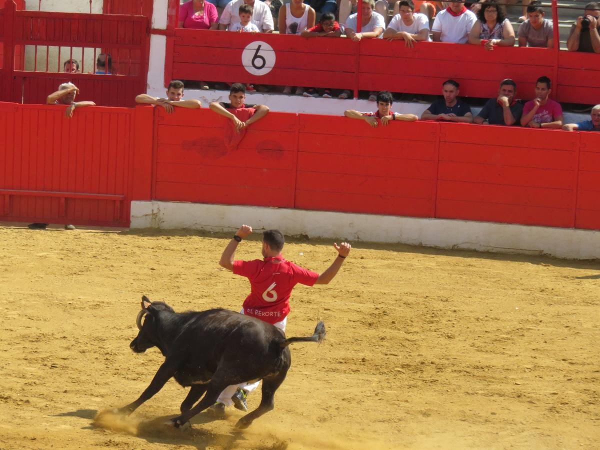 Vaquillas, comidas en cuadrilla, degustaciones, gigantes y cabezudos... un sinfín de actos en las fiestas alfareñas.