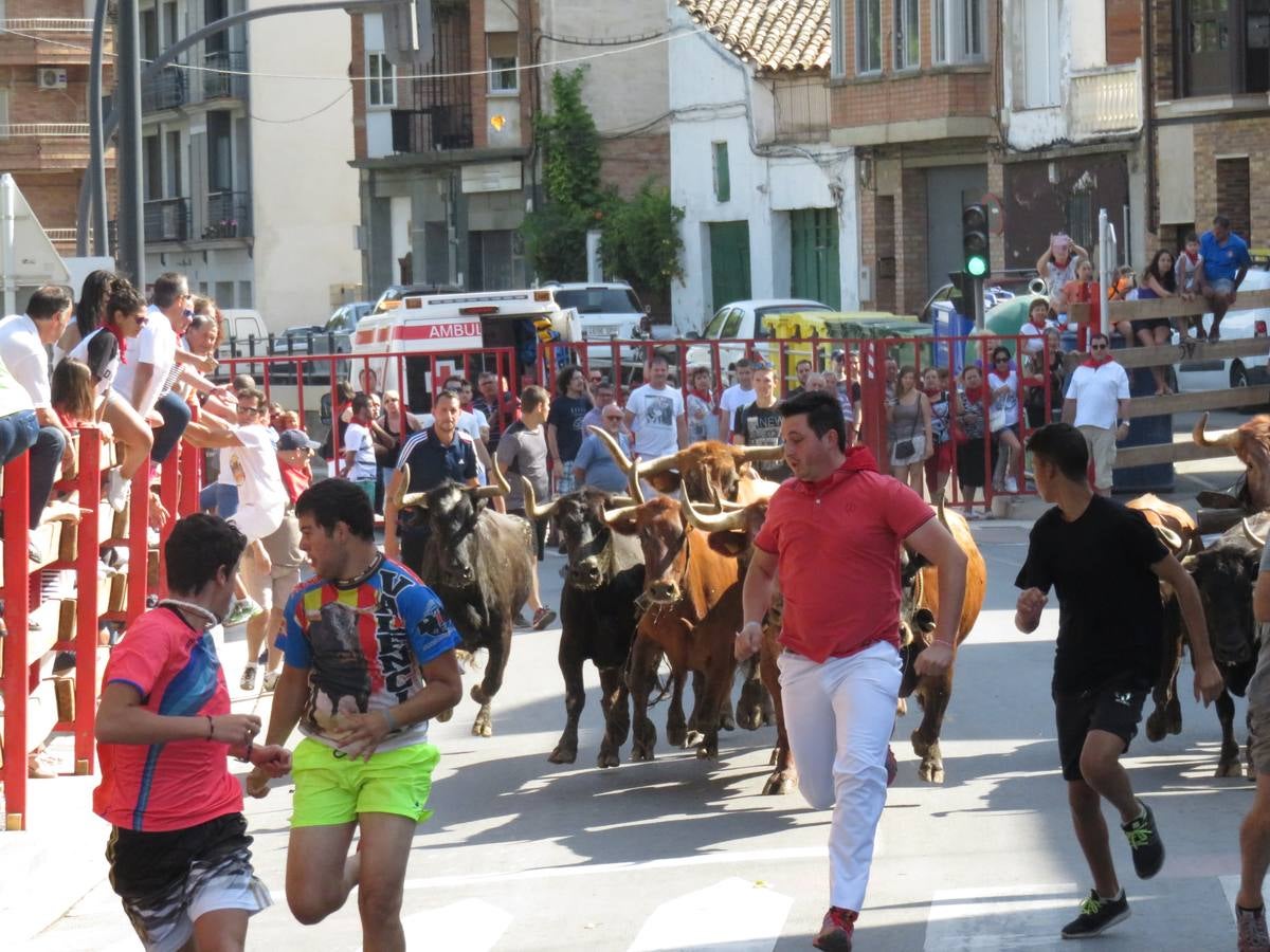 Vaquillas, comidas en cuadrilla, degustaciones, gigantes y cabezudos... un sinfín de actos en las fiestas alfareñas.