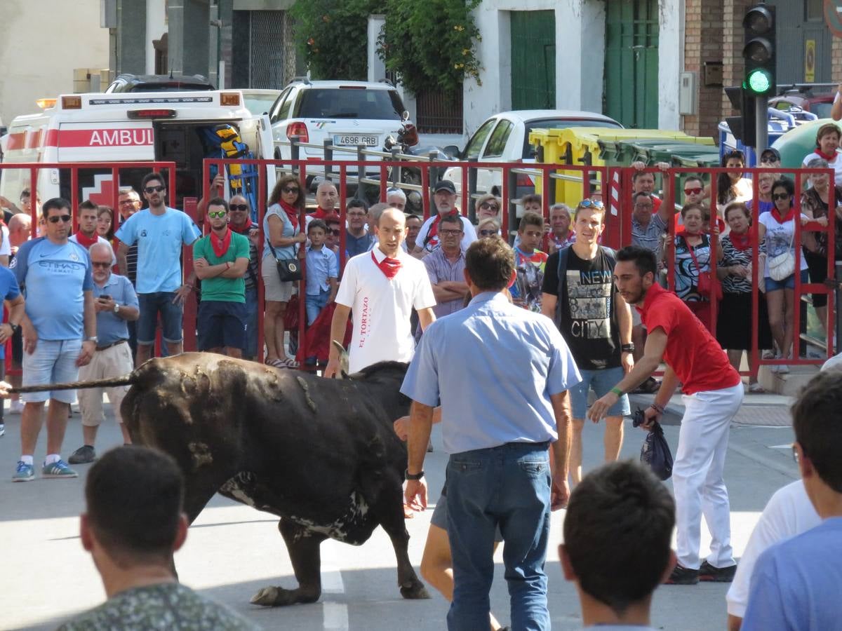 Vaquillas, comidas en cuadrilla, degustaciones, gigantes y cabezudos... un sinfín de actos en las fiestas alfareñas.