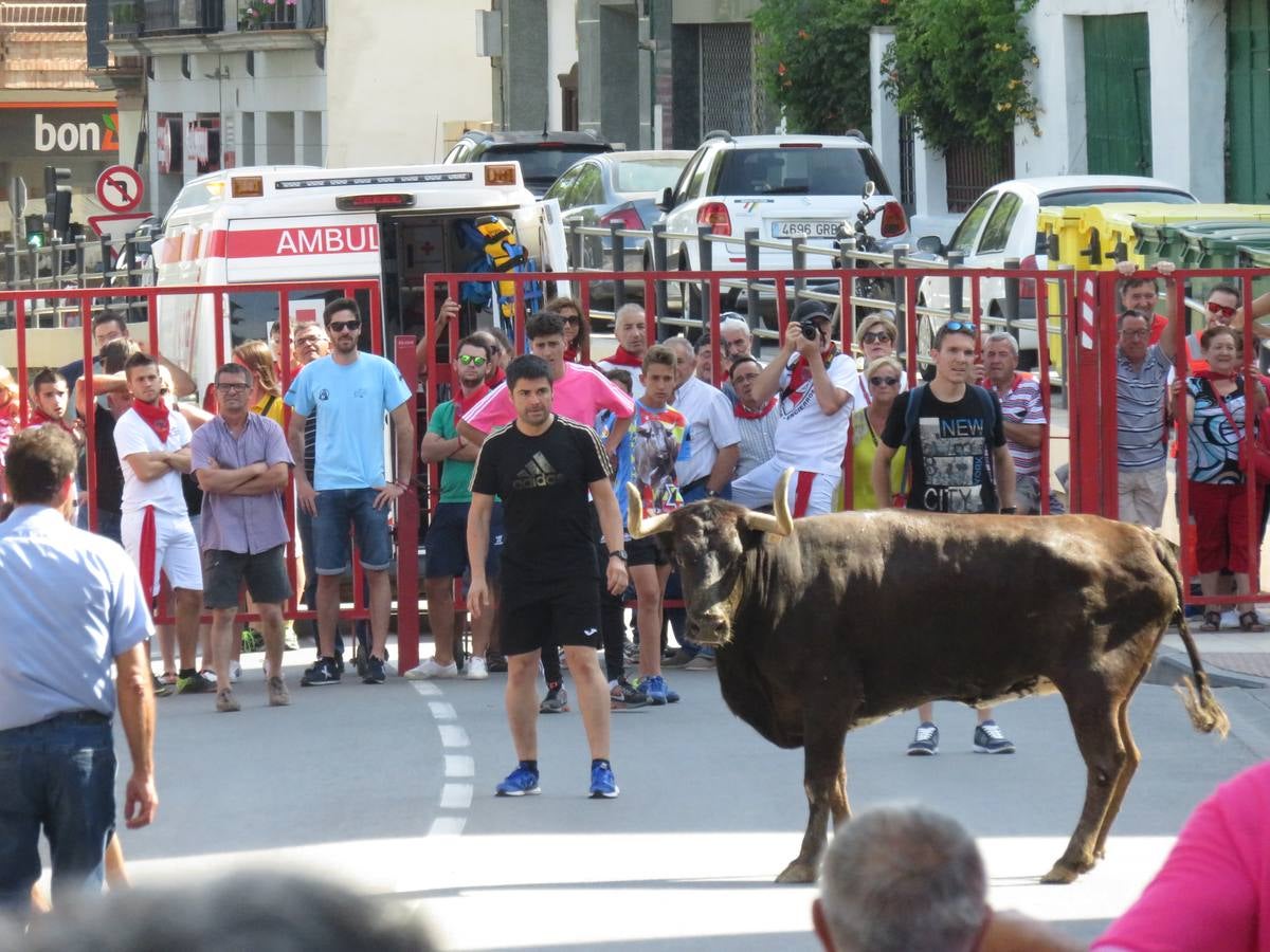 Vaquillas, comidas en cuadrilla, degustaciones, gigantes y cabezudos... un sinfín de actos en las fiestas alfareñas.