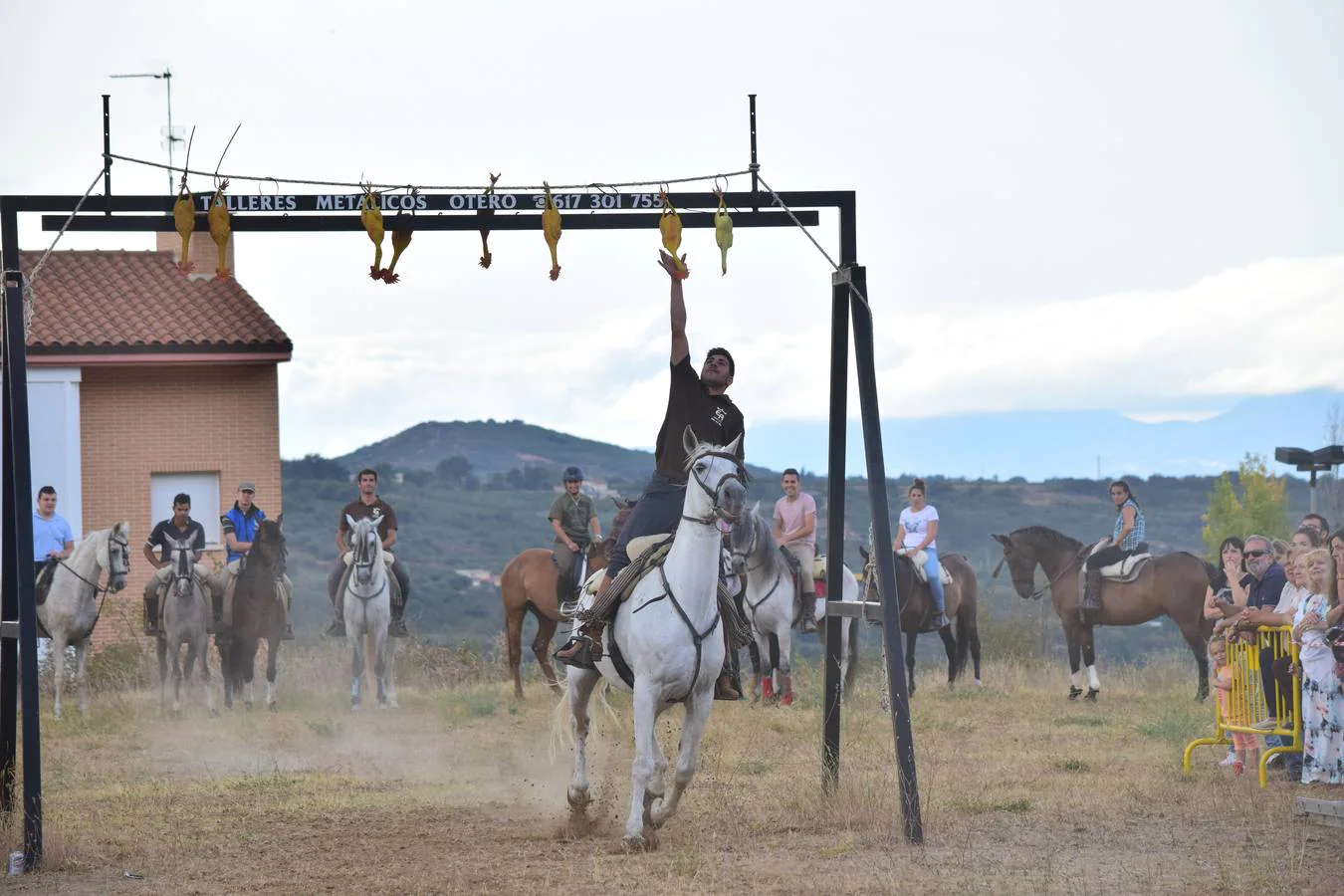 Dieciséis jinetes participaron en la tradicional carrera de gallos de Nalda.