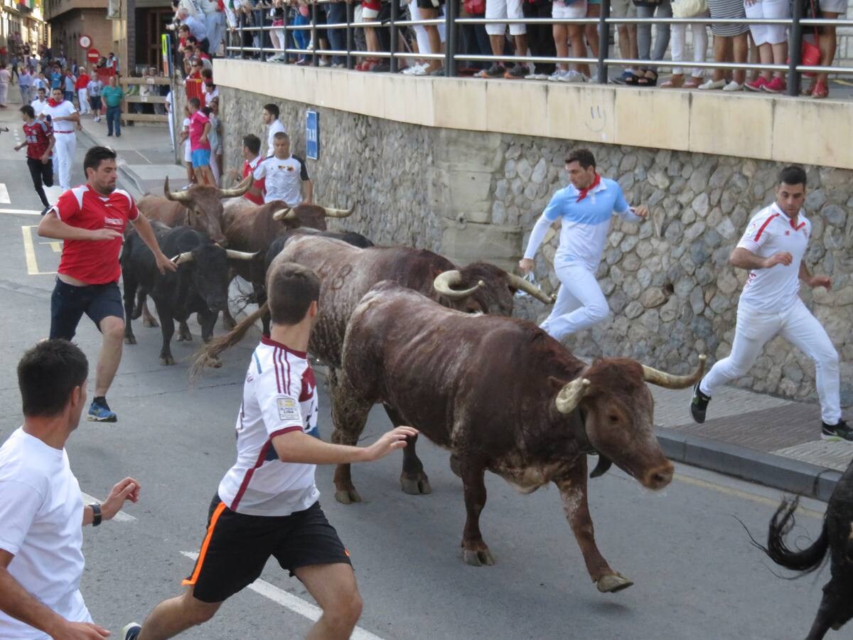 Alfaro sigue de fiestas con la celebración del Día de la Mujer