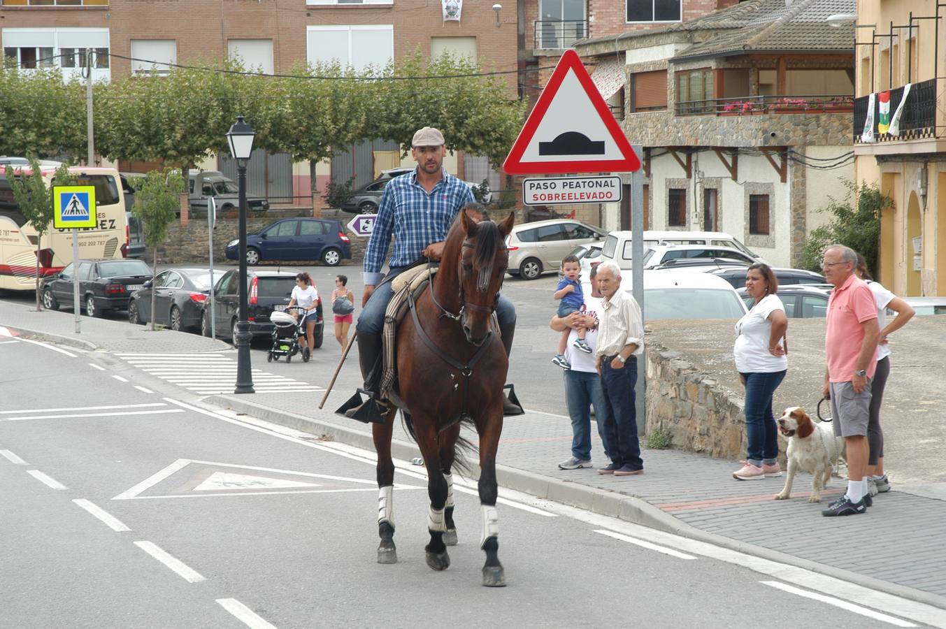 V Jornada de la trashumancia en Igea