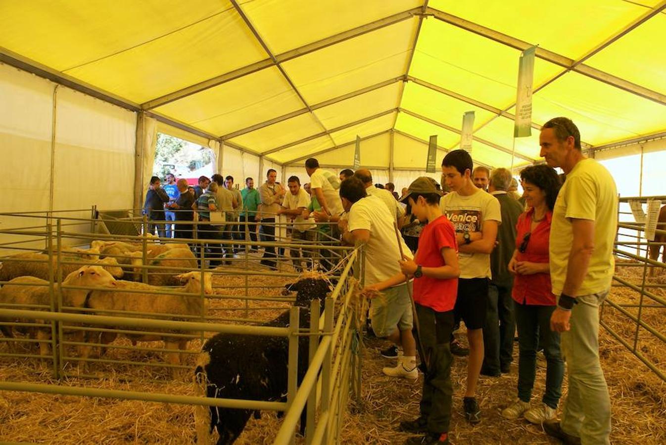 Tradición ganadera en Canales de la Sierra donde ayer se vivió su tradicional feria de ganado. Artesanía y productos de la tierra acompañaron una actividad que pelea por mantener su espacio y conservar el medio