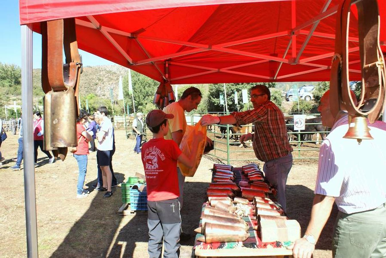 Tradición ganadera en Canales de la Sierra donde ayer se vivió su tradicional feria de ganado. Artesanía y productos de la tierra acompañaron una actividad que pelea por mantener su espacio y conservar el medio