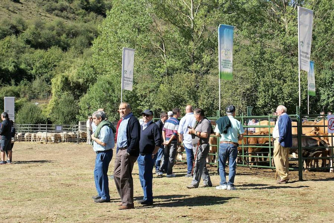 Tradición ganadera en Canales de la Sierra donde ayer se vivió su tradicional feria de ganado. Artesanía y productos de la tierra acompañaron una actividad que pelea por mantener su espacio y conservar el medio