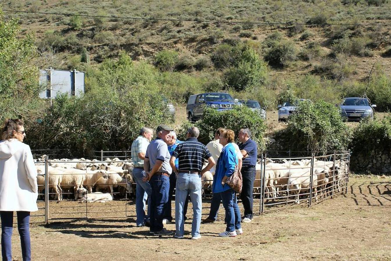 Tradición ganadera en Canales de la Sierra donde ayer se vivió su tradicional feria de ganado. Artesanía y productos de la tierra acompañaron una actividad que pelea por mantener su espacio y conservar el medio