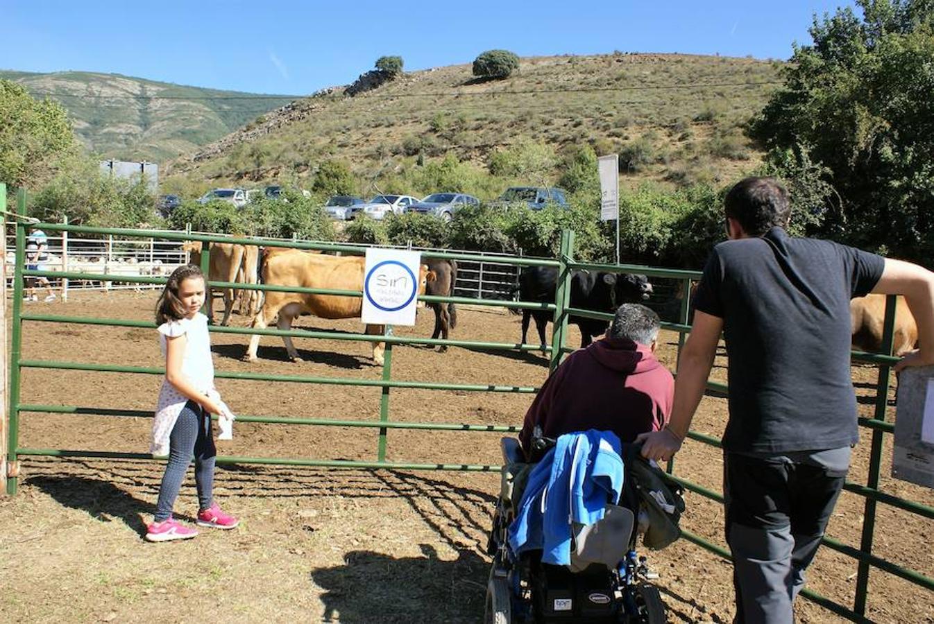 Tradición ganadera en Canales de la Sierra donde ayer se vivió su tradicional feria de ganado. Artesanía y productos de la tierra acompañaron una actividad que pelea por mantener su espacio y conservar el medio