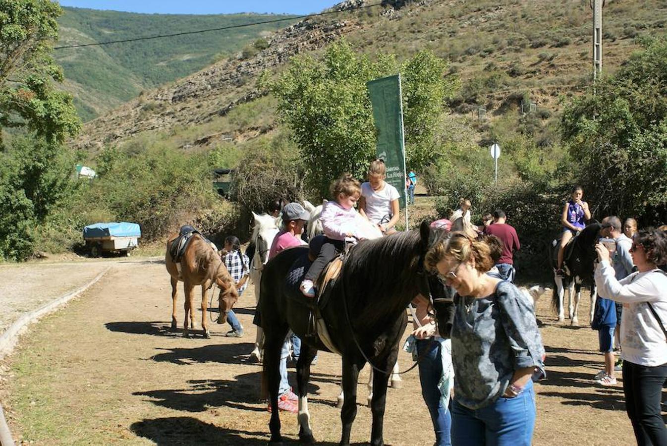 Tradición ganadera en Canales de la Sierra donde ayer se vivió su tradicional feria de ganado. Artesanía y productos de la tierra acompañaron una actividad que pelea por mantener su espacio y conservar el medio