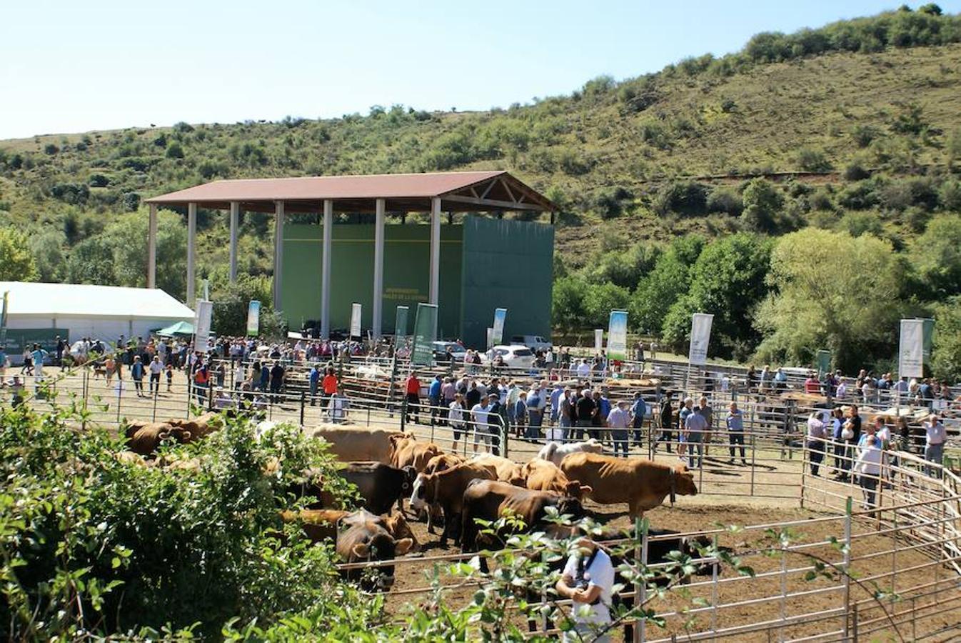 Tradición ganadera en Canales de la Sierra donde ayer se vivió su tradicional feria de ganado. Artesanía y productos de la tierra acompañaron una actividad que pelea por mantener su espacio y conservar el medio