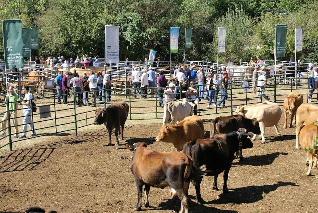 Tradición ganadera en Canales de la Sierra donde ayer se vivió su tradicional feria de ganado. Artesanía y productos de la tierra acompañaron una actividad que pelea por mantener su espacio y conservar el medio