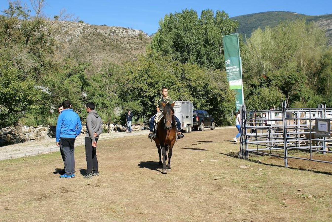 Tradición ganadera en Canales de la Sierra donde ayer se vivió su tradicional feria de ganado. Artesanía y productos de la tierra acompañaron una actividad que pelea por mantener su espacio y conservar el medio