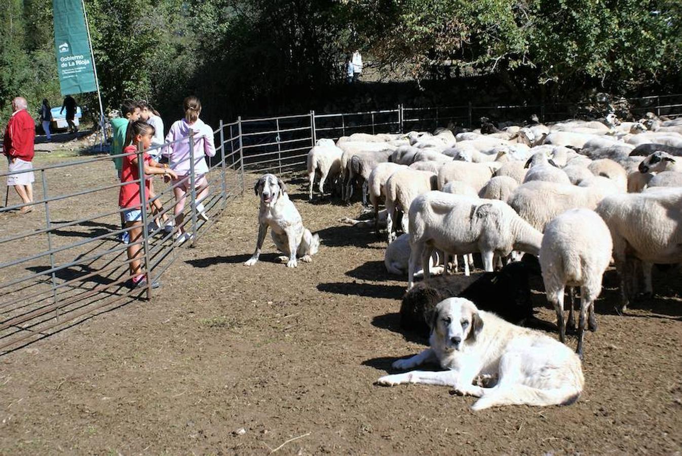 Tradición ganadera en Canales de la Sierra donde ayer se vivió su tradicional feria de ganado. Artesanía y productos de la tierra acompañaron una actividad que pelea por mantener su espacio y conservar el medio