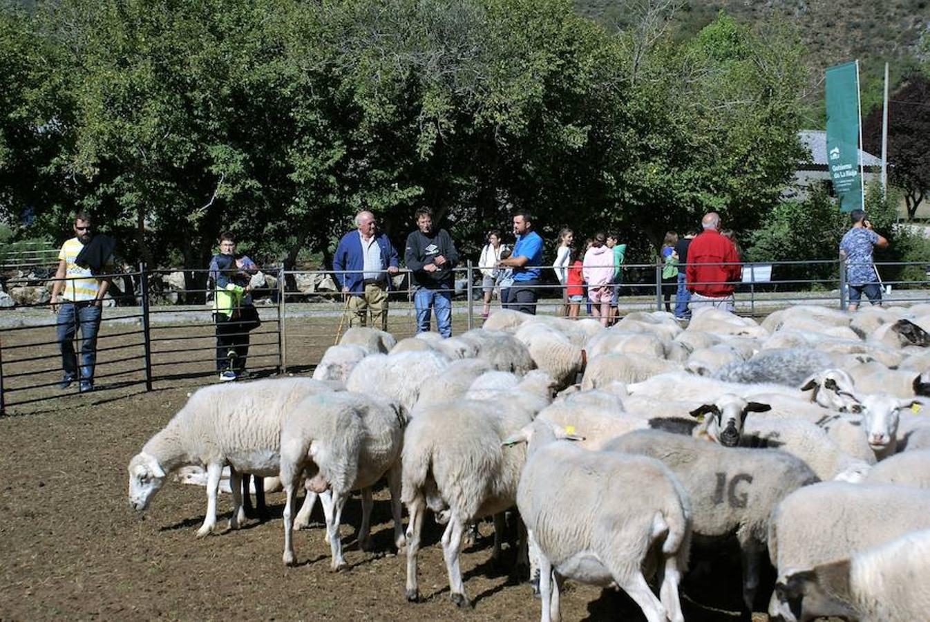 Tradición ganadera en Canales de la Sierra donde ayer se vivió su tradicional feria de ganado. Artesanía y productos de la tierra acompañaron una actividad que pelea por mantener su espacio y conservar el medio