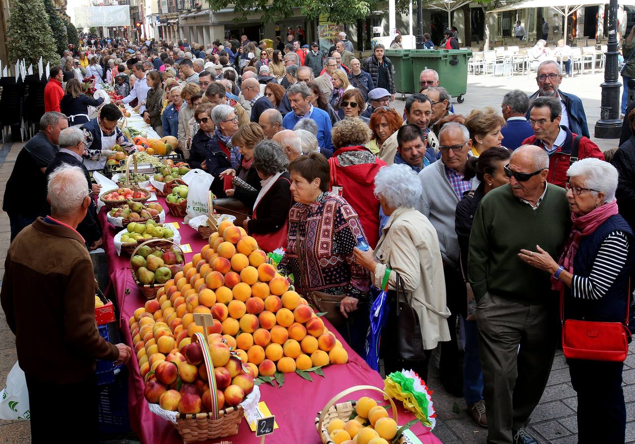 Decenas de riojanos desfilaron ayer por el tradicional certamen agrícola de Fundación Caja Rioja, a pesar del desapacible día