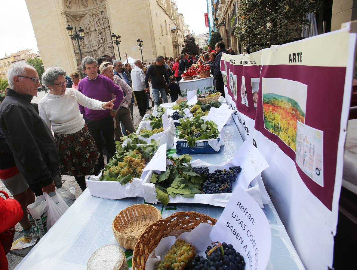 Decenas de riojanos desfilaron ayer por el tradicional certamen agrícola de Fundación Caja Rioja, a pesar del desapacible día