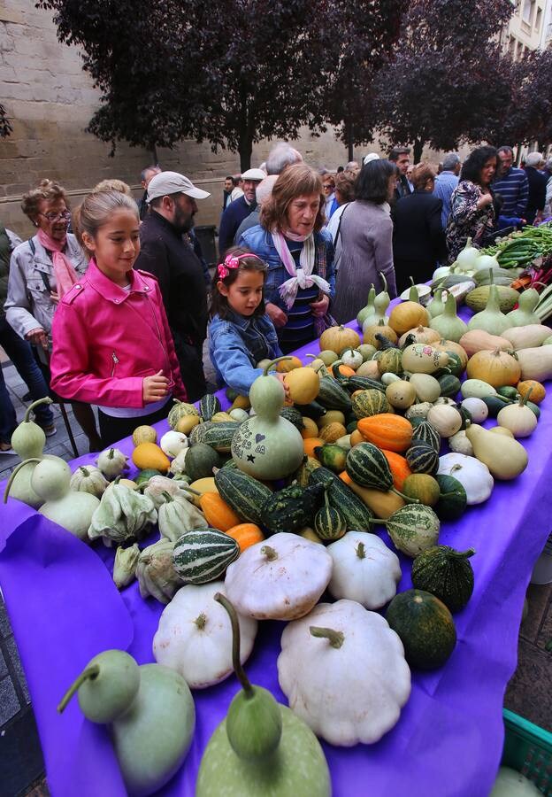 Decenas de riojanos desfilaron ayer por el tradicional certamen agrícola de Fundación Caja Rioja, a pesar del desapacible día