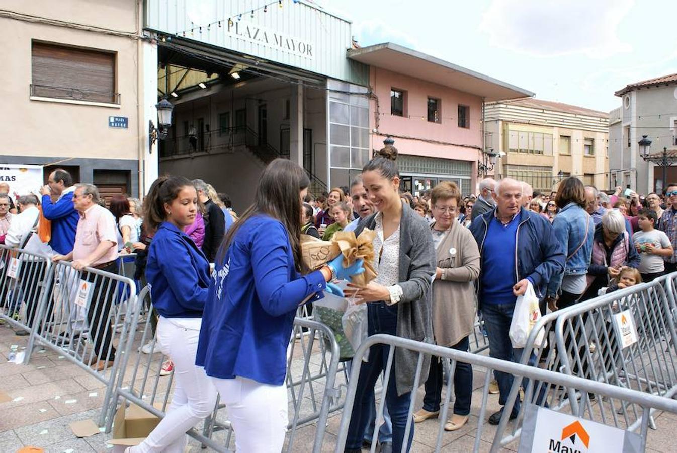La peña Virgen de los Parrales de Baños de Río Tobía repartió el domingo cerca de 14.000 bocadillos del embutido bañejo con motivo de la celebración de su XLIV festival de exaltación de la chacina bañeja