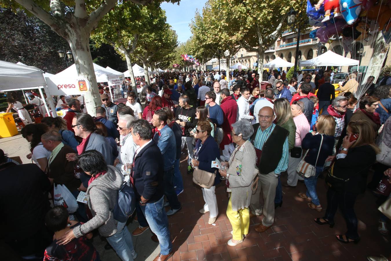 La federación de peñas de Logroño celebró en El Espolón la degustación de vinos y pinchos