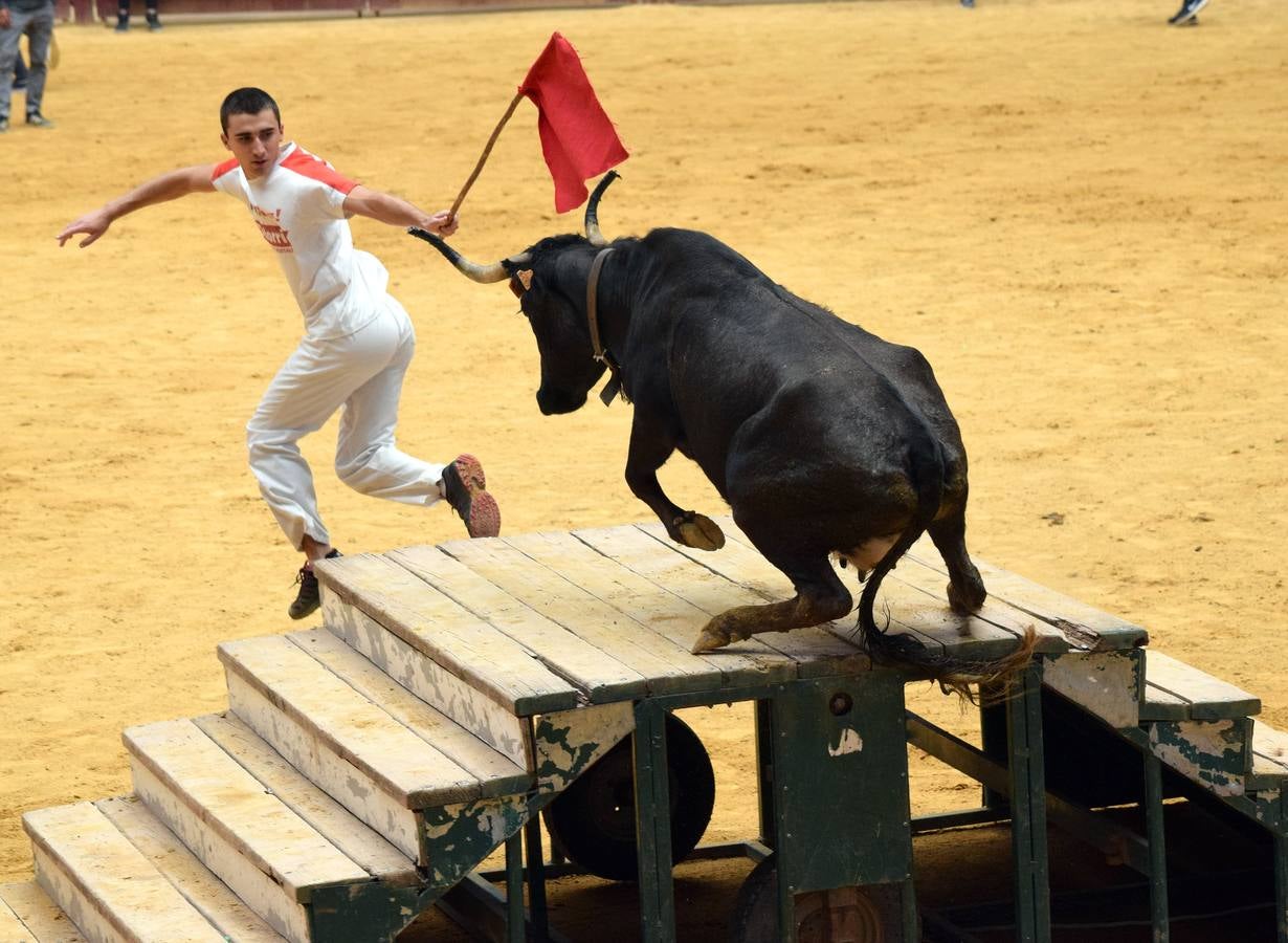 Las vaquillas, uno de los actos más concurridos de las fiestas de San Mateo ya han comenzado con el habitual éxito de público