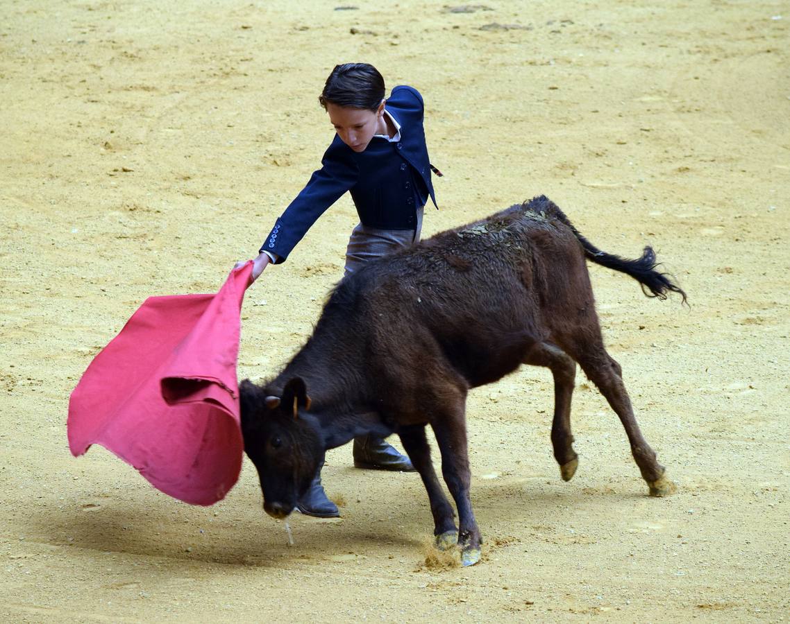 Las vaquillas, uno de los actos más concurridos de las fiestas de San Mateo ya han comenzado con el habitual éxito de público