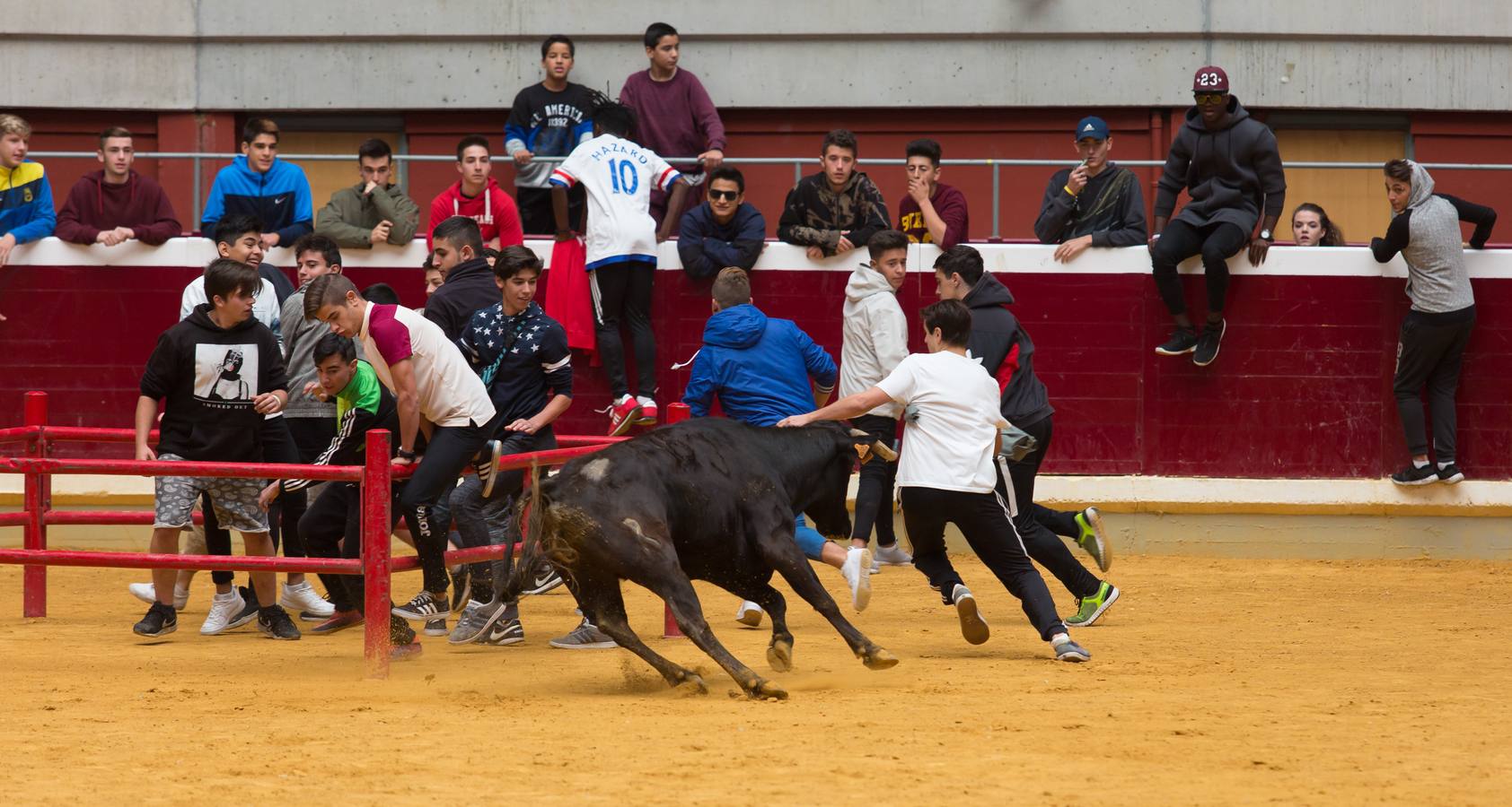 El segundo día de vaquillas en La Ribera ha tenido juegos, diversión y sustos