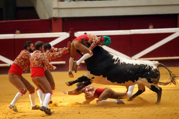 El forcado de cara le pega al toro y el resto de mozos acude a ayudar a inmovilizarlo. :: Justo Rodríguez