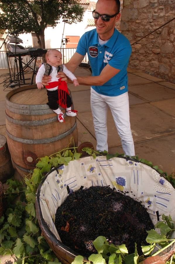 Pisado de uva y procesión de Acción de Gracias y Virgen de la Antigua en Rincón de Olivedo