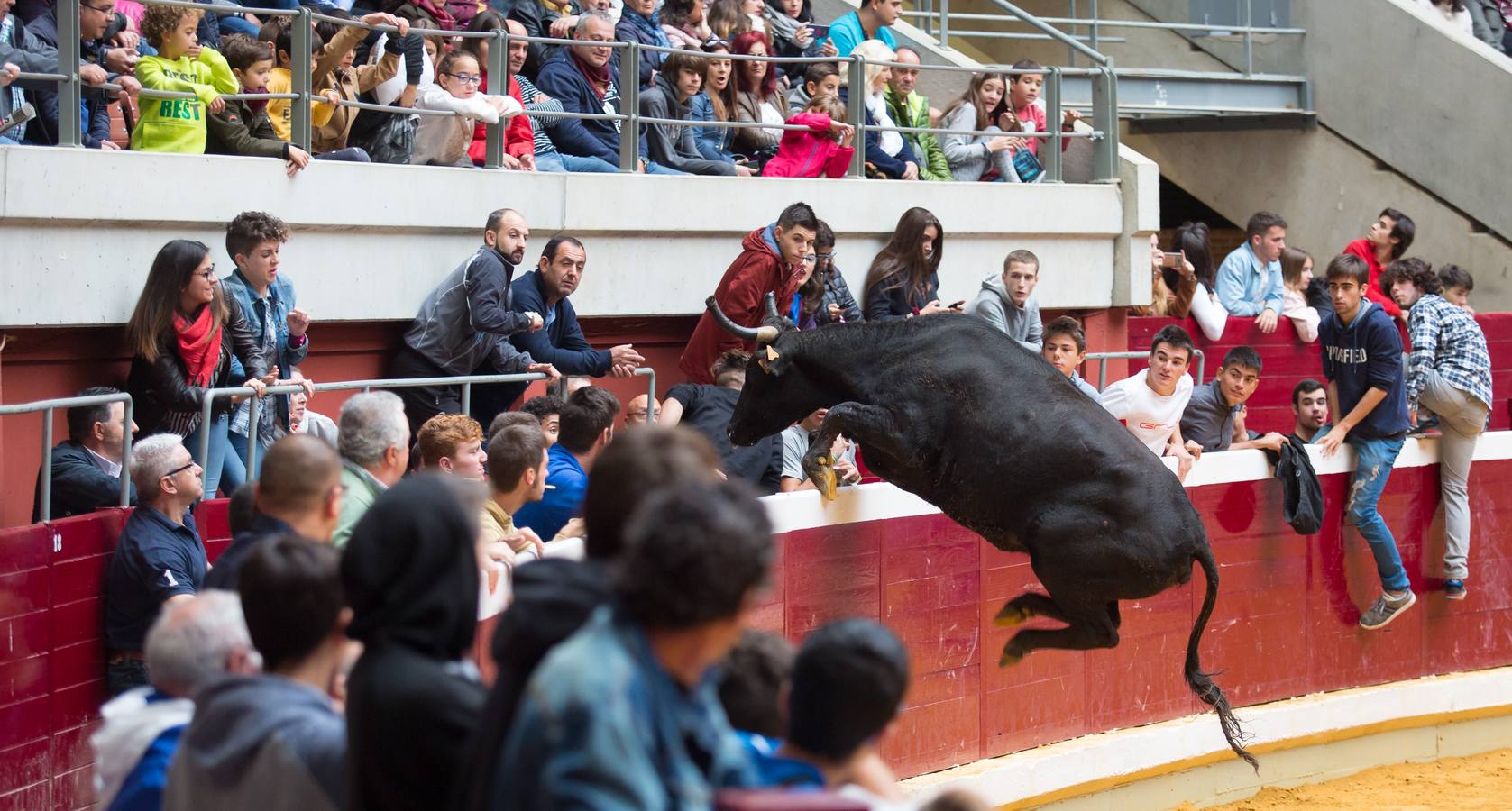 Los asistentes a las vaquillas disfrutaron de lo lindo con las vaquillas saltarinas de José Arriazu. También hubo exhibición de anillas por los campeones de España.